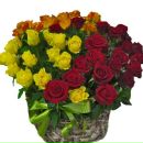 Надія Шпадик фотография #12 (источник - https://vk.com/id155860205)