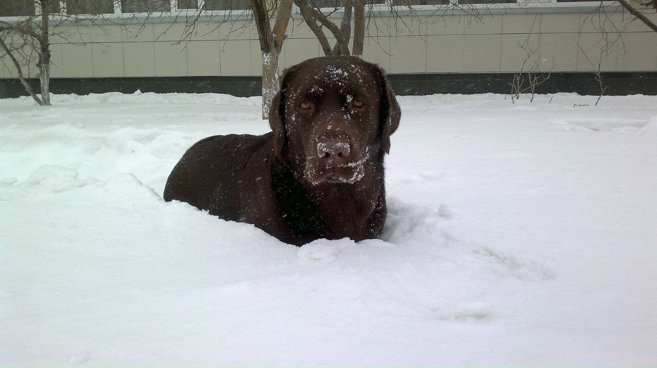 Денис Косицын фотография #22