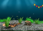 Вітя Бабич фотография #17 (источник - https://vk.com/id138317392)