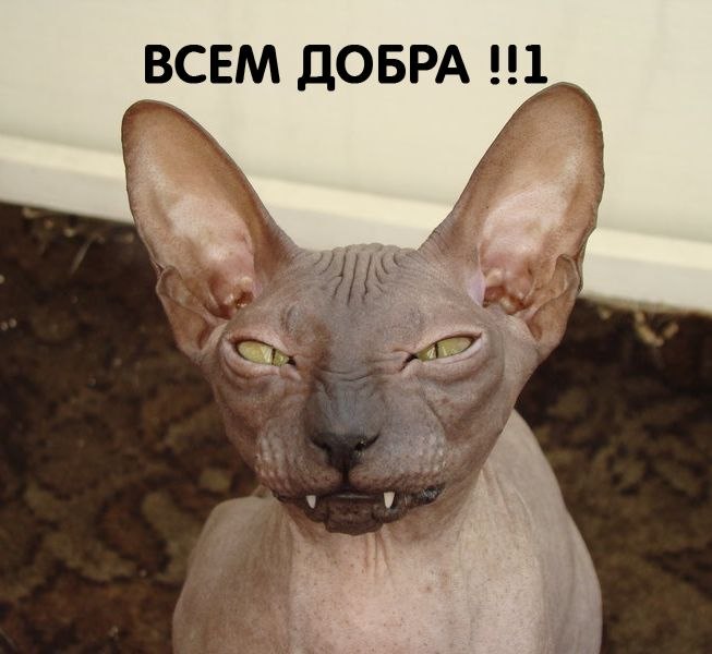 Тёма Игнат фотография #5