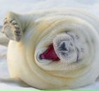 Фотография Петрова Стаса