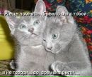 Тіна Будзінська фотография #3 (источник - https://vk.com/id62523828)