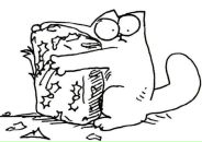 Фотография Анкудиновой Светланы