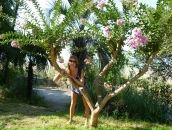 Фотография Перевощиковой Яны