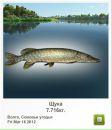 Андрій Рабодзей фотография #12 (источник - https://vk.com/id123176215)
