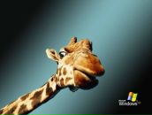 Віталя Кучерук фотография #27 (источник - https://vk.com/id30546775)