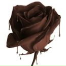 Илья Зыков фотография #46 (источник - https://vk.com/id456230)