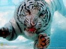 Влад Ефимоф=) фотография #19 (источник - https://vk.com/id154764952)