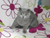 Алла Келтуитор фотография #30 (источник - https://vk.com/id54570845)