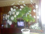 Лідія Лупина фотография #33 (источник - https://vk.com/id150296004)