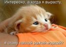Сергій Марченя фотография #20 (источник - https://vk.com/id158635932)