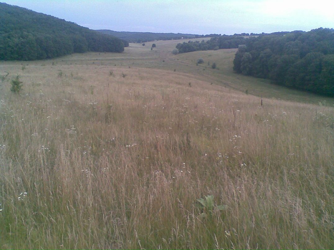 Олександр Міхальов фотография #15