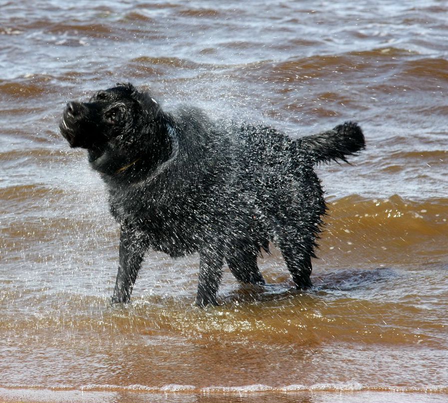 Даниил Сидоров фотография #33