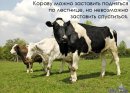 Діма Остапишин фотография #29 (источник - https://vk.com/id26627804)