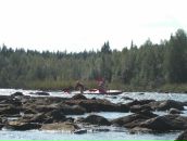 Ivan Ostapenko фотография #42 (источник - https://vk.com/id1696641)