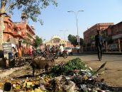 Игорь Ерохин фотография #21 (источник - https://vk.com/id1961268)