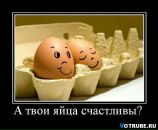 Тетяна Аліфіренко фотография #49 (источник - https://vk.com/id66357014)