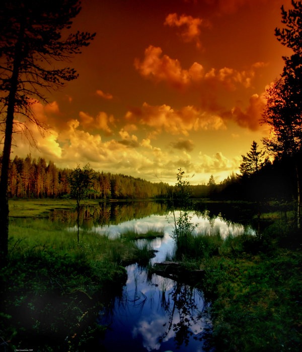 Рэй Венед фотография #15