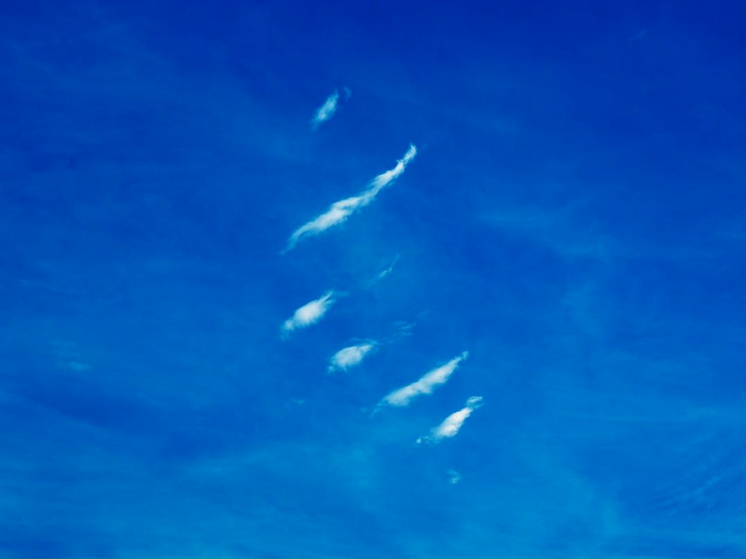 Андрей Астапенко фотография #46