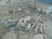 Віктор Копінський фотография #29 (источник - https://vk.com/id10115601)