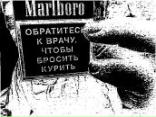 Фотография Пупкинга Василия