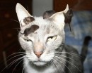 Ігор Старик фотография #38 (источник - https://vk.com/id53759481)