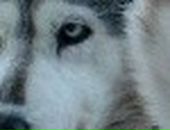 Владислав Матвеев фотография #16 (источник - https://vk.com/id19483890)