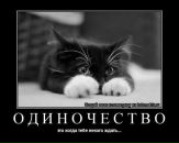 Фотография Кошелевой Юлии