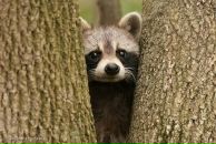 Фотография Облаевой Анастасии