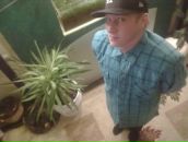 Фотография Григорьева Максима