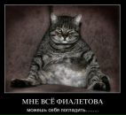 Фотография Tuiouio Tiiuou