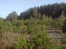 Юрчік Волков фотография #26 (источник - https://vk.com/id56454956)