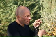 Фотография Малашенкова Анна