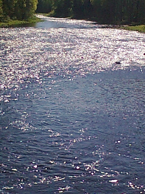 Андрей Симоненков фотография #25