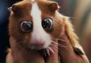 Фотография Рыбина Николая