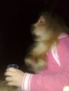 Коля Кушнір фотография #17 (источник - https://vk.com/id27577146)