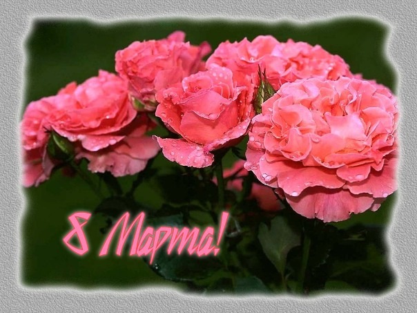 №5, Анастасия Кулькова №5, Анастасия Кулькова