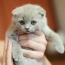 Михайло Сквіра фотография #2 (источник - https://vk.com/id173046863)