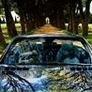 Славик Проценко фотография #17 (источник - https://vk.com/id70311981)