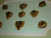 Едік Брончак фотография #13 (источник - https://vk.com/id82310322)