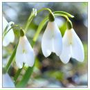 Фотография Ринатовны Гузель