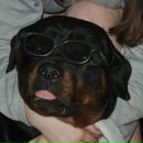 Фотография Liya Nata