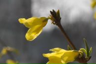 Viktoria Barabanova фотография #13 (источник - https://vk.com/id3774708)