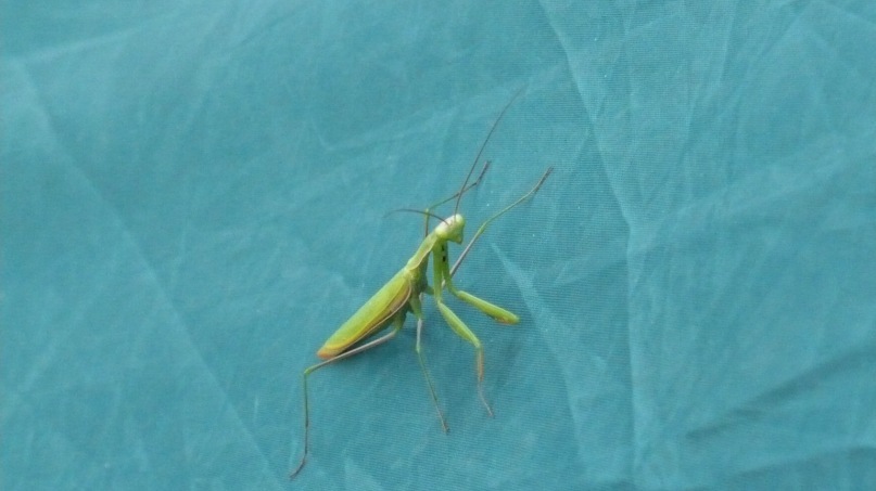 Дима Крылов фотография #20