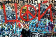 Фотография Гребень Вики