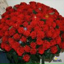 Фотография Симоновой Татьяны