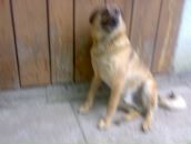 Віталій Кравців фотография #42 (источник - https://vk.com/id26293535)