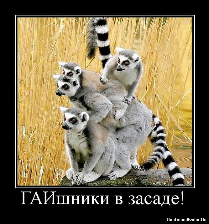 Сергей Багаев фотография #47