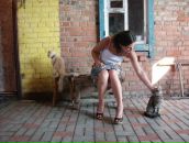 Фотография  