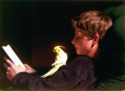 Фотография Воловского Александра